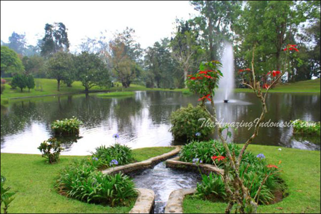 Cibodas Botanical Garden